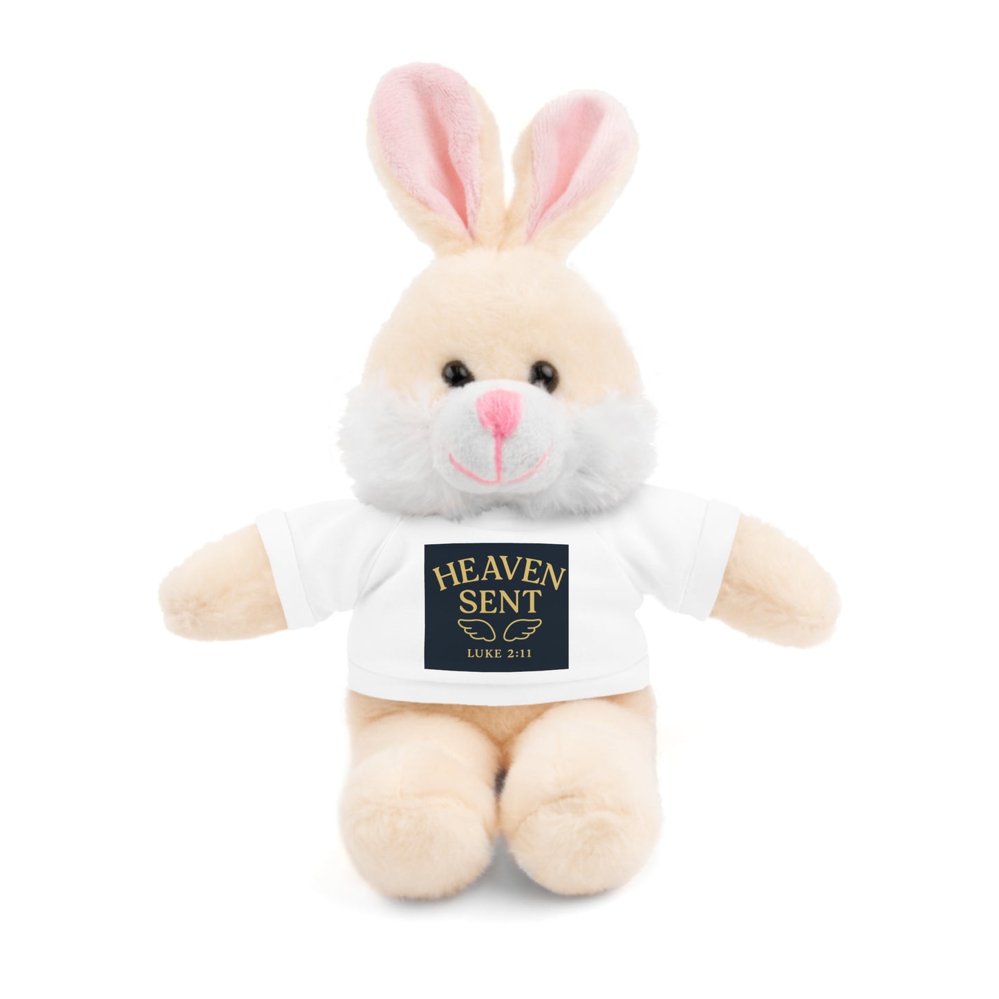 Heaven Sent Stuffed Animal with Tee