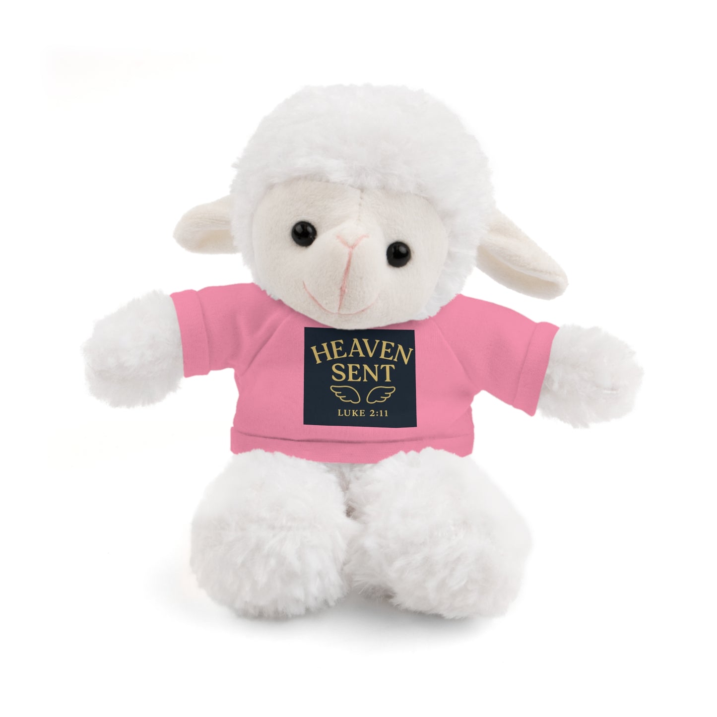 Heaven Sent Stuffed Animal with Tee